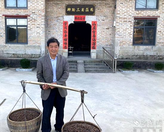 何道關(guān)與自己種的油茶果。黃錚 攝_副本.jpg.jpg